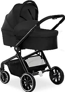 Carucior 2 in 1 Hauck Move so Simply Black