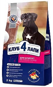 Сухой корм для собак Club4Paws Premium Puppies Large 2kg