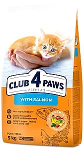 Сухой корм для кошек Club4Paws Kitten Salmon 5kg