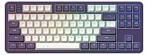 Игровая клавиатура Dark Project 87 Violet