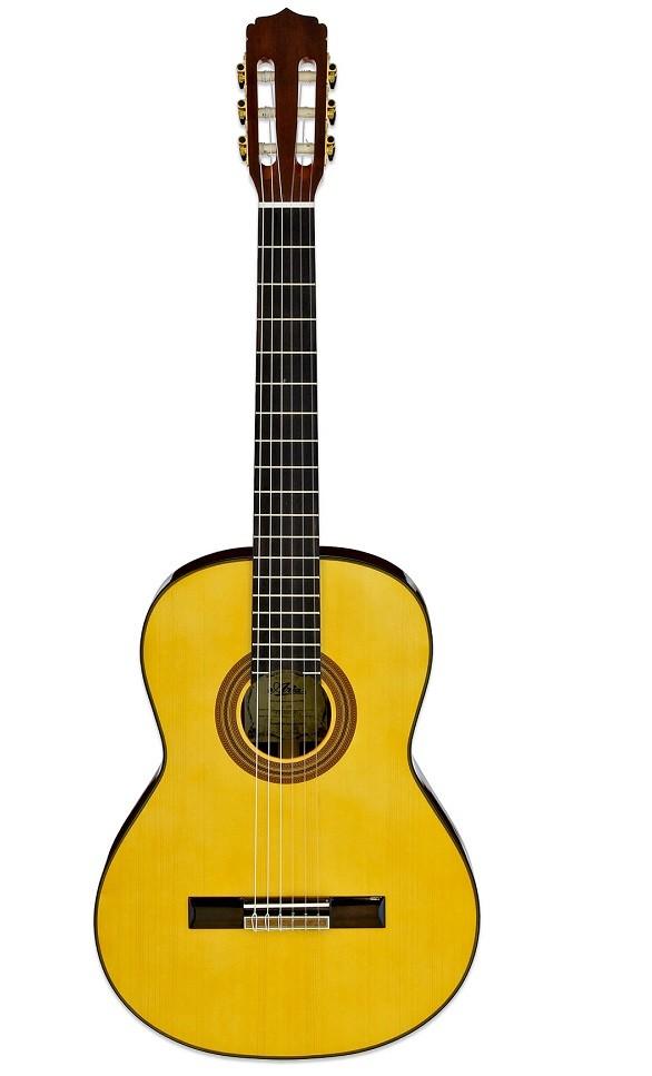 Chitara clasica Aria A-30S N
