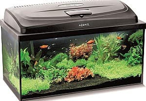 Acvariu Aquael CLASSIC BOX 60 PAP