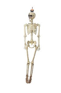Cadou de halloween VLM Schelet suspendabil 40x190cm