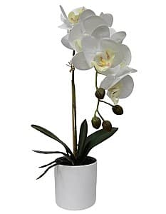 Flori artificiale VLM BF2312017 Alb