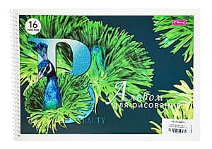 Album New World Peacock (XQ-16-100AT/S)