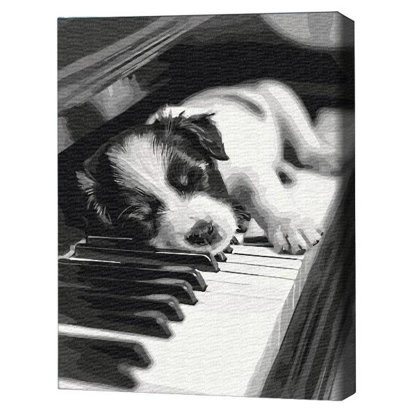 Tablou pe numere BrushMe Melodie BS54066