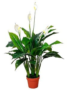 Искусственные цветы OEM/ODM Spathiphyllum Patinii 100см (Green/White)