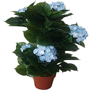 Искусственные цветы OEM/ODM Hydrangea 45см (Green/Blue)
