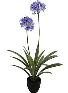 Искусственные цветы OEM/ODM Narcissus 108см (Green/Purple)