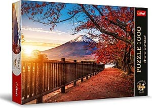 Puzzle Trefl 10817