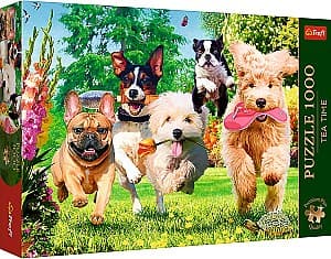Puzzle Trefl 10800