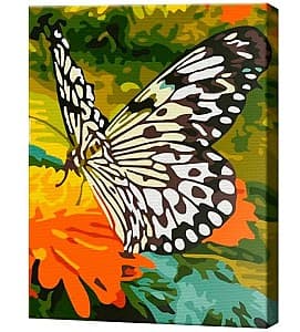 Картина по номерам Art Gallery Бабочка в саду 20x30 см