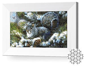 Алмазная картина New World JS13260