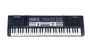 Sintetizator Ramiz MQ-829 USB (Black)