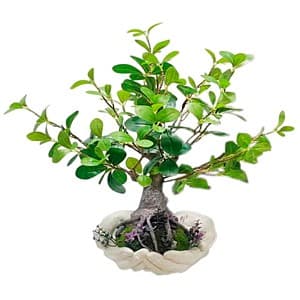 Искусственные цветы OEM/ODM T209