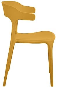 [object Object]