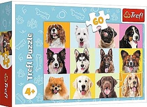 Puzzle Trefl 17374