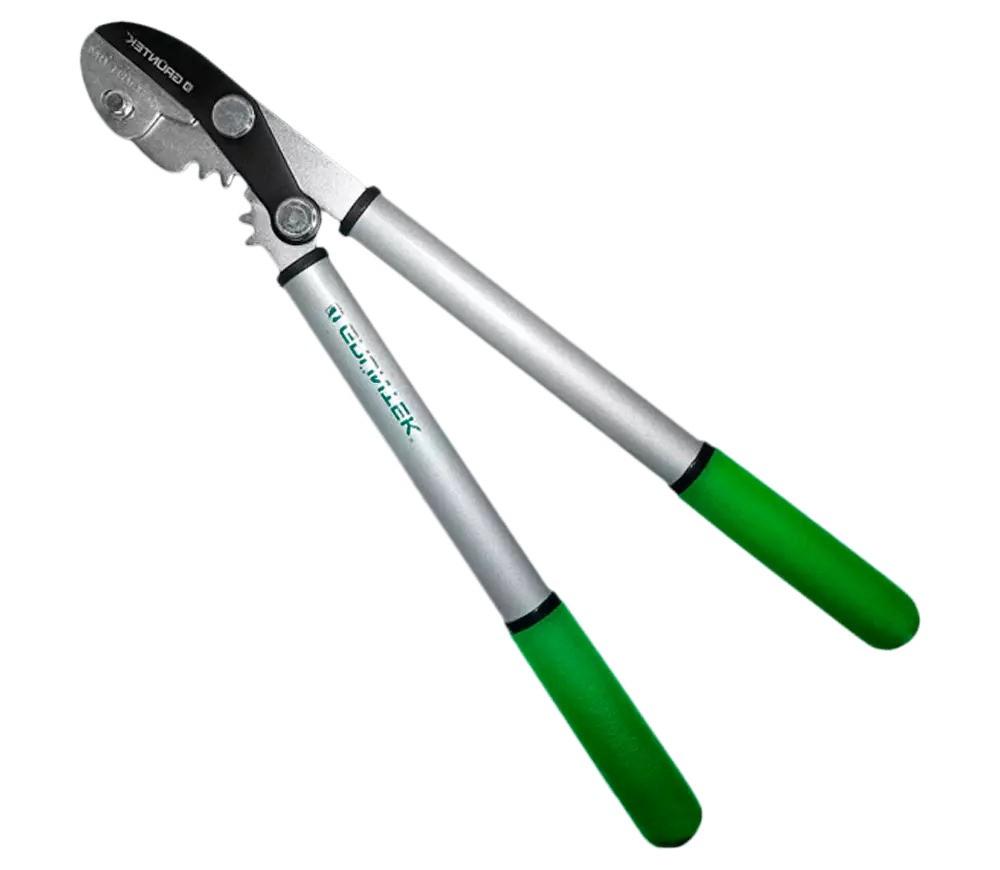 Foarfece de crengi GRUNTEK GRIZZLY (295203470)