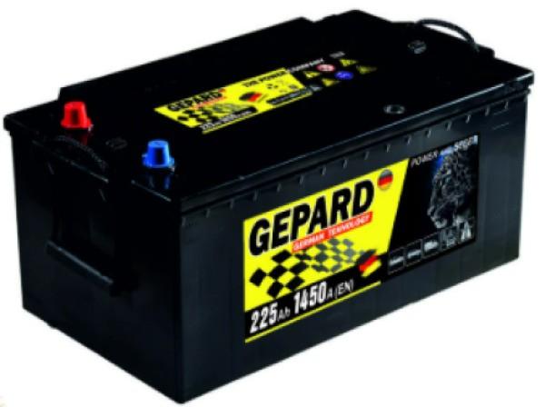 Acumulator auto GEPARD Standart 225 AH