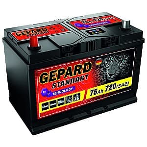 Acumulator auto GEPARD 75 AH Japan