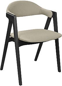 Scaun din lemn DP Logan Ambrella 09 / Black Legs