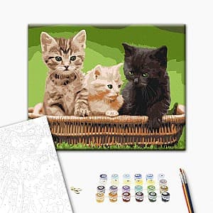 Tablou pe numere BrushMe Pisoi in cos (fara cutie) 30x40 cm