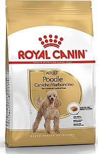 Hrana uscata pentru caini Royal Canin POODLE ADULT 1.5 kg