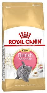 Hrana uscata pentru pisici Royal Canin British Shorthair Kitten 2kg