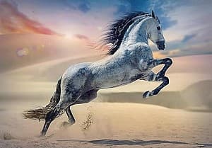 Пазлы Trefl 1000 Majestic Horse (10790)