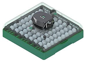 Инкубатор Demetra EU PROFI C72