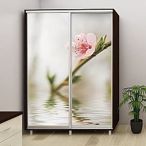 Dulap-cupe PS DX-200 (2 foto Sakura) Mokka