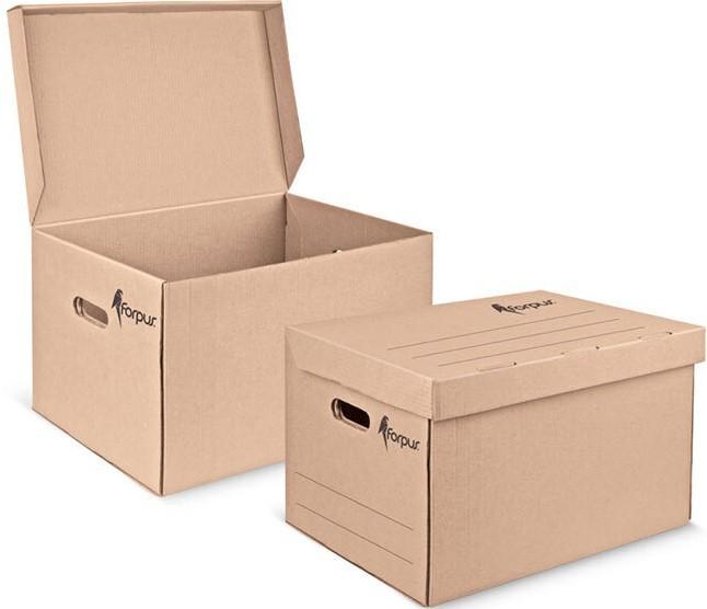 Cutie pentru depozitare Forpus FO23134