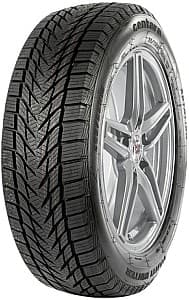 Шина Centara Vanti Winter 185/70 R14 88T