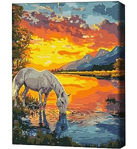 Tablou pe numere BrushMe Un cal în zori 40х50 cm (în cutie)