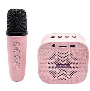 Музыкальная игрушка Essa Toys DN12052