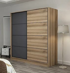 Шкаф-купе Trendy Kale 3172