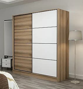 Шкаф-купе Trendy Kale 3179