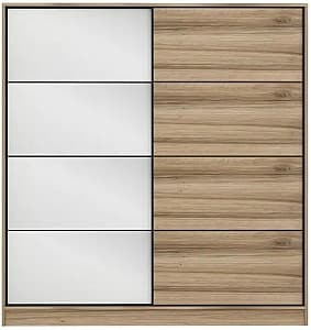 Шкаф-купе Trendy Kale 3174
