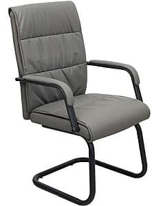Scaun DP F-81L Grey