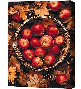 Tablou pe numere BrushMe Comorile lunii septembrie 40х50 cm (fără cutie)