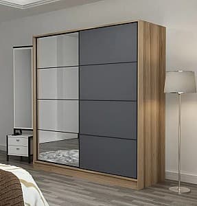 Шкаф-купе Trendy Kale 7167