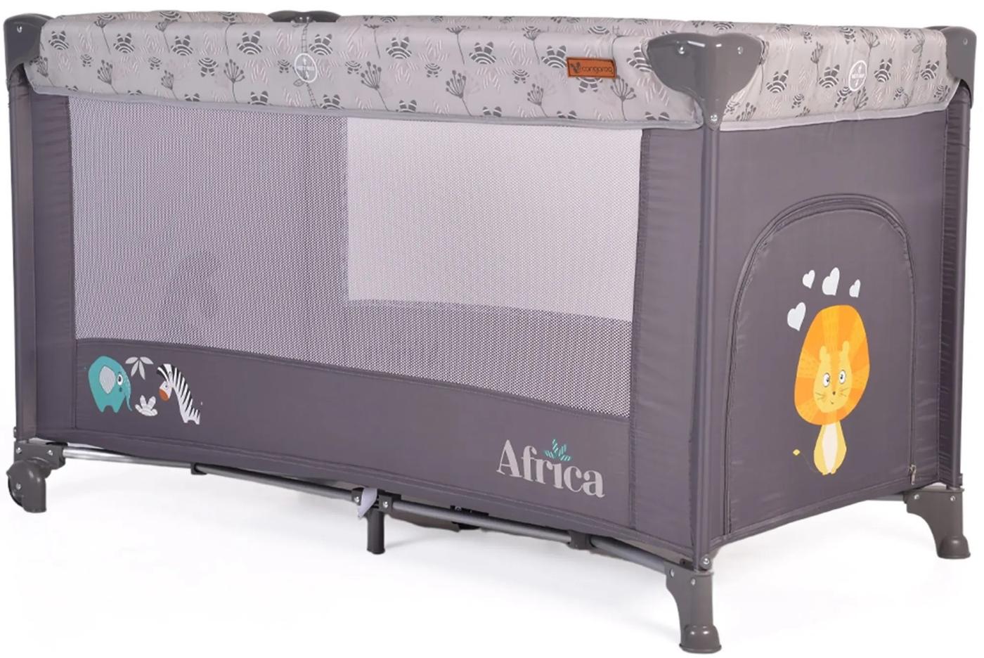 Manej Moni Africa Grey