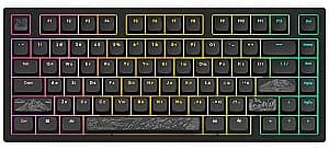 Игровая клавиатура Dark Project 81 Terra Nostra