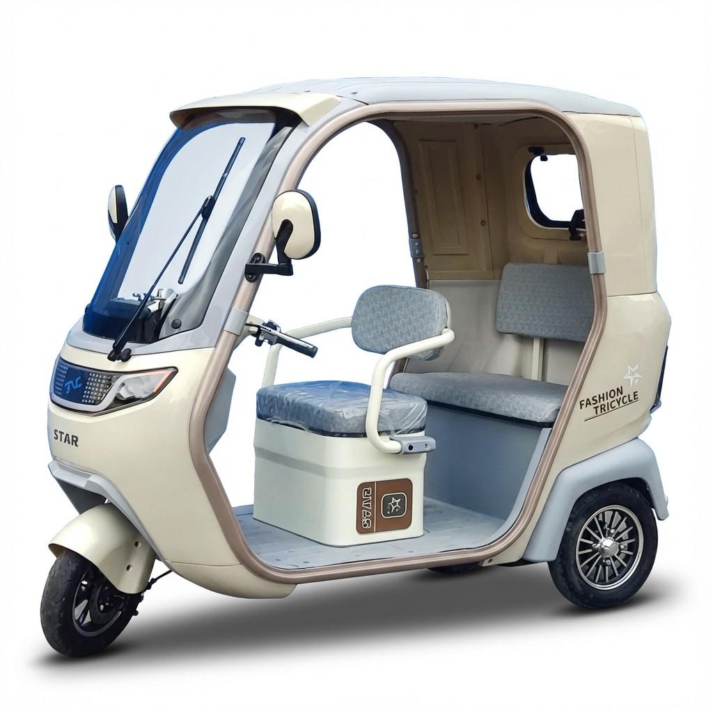 Электрический трицикл VLM Star с крышей