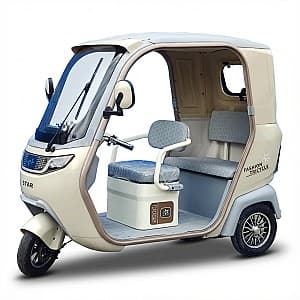 Электрический трицикл VLM Star с крышей