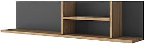 Raft de perete Trendy AE103 2640 Nuc (Maro)/Antracit (Gri)