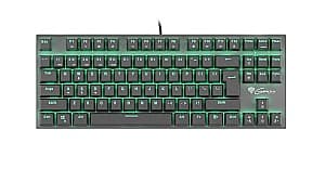 Игровая клавиатура  Genesis Thor 300 TKL US