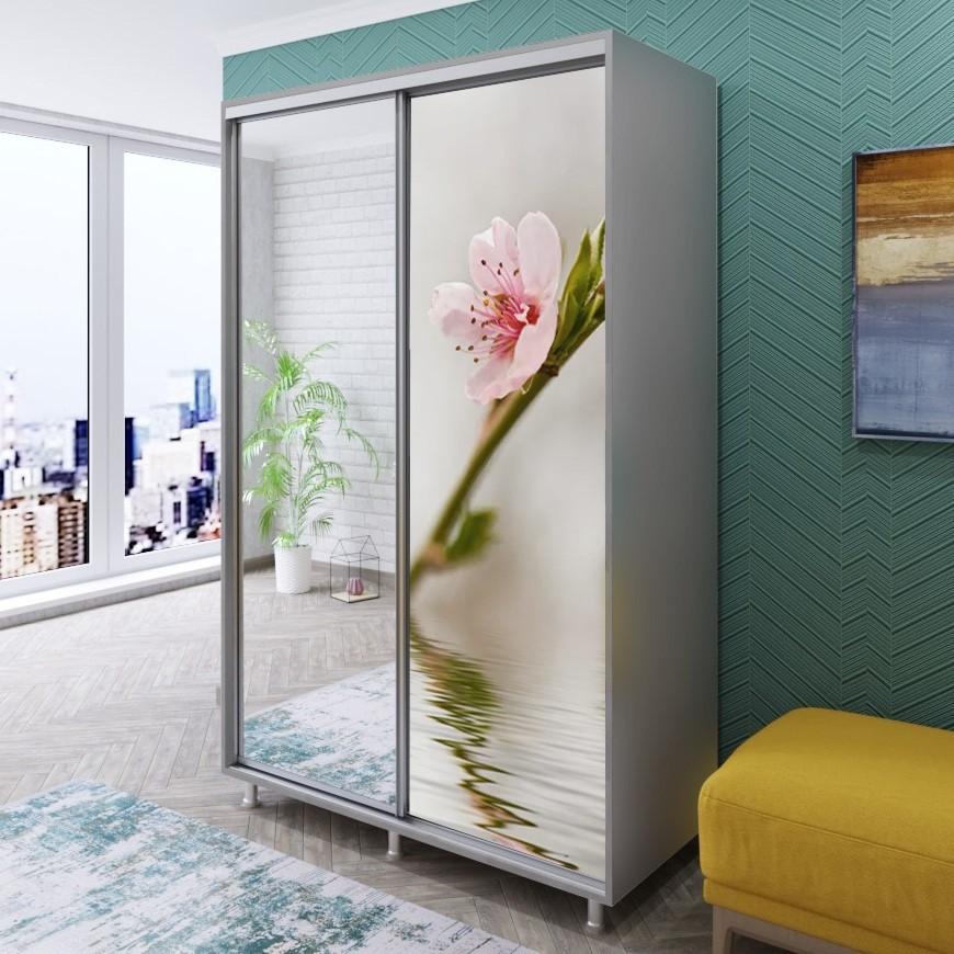 Шкаф-купе PS DY-120 (1 фото Сакура) Серый