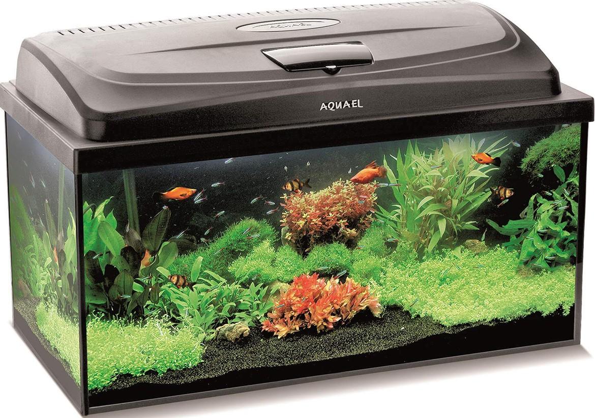 Аквариум Aquael AQUA4FAMILY 80 черный