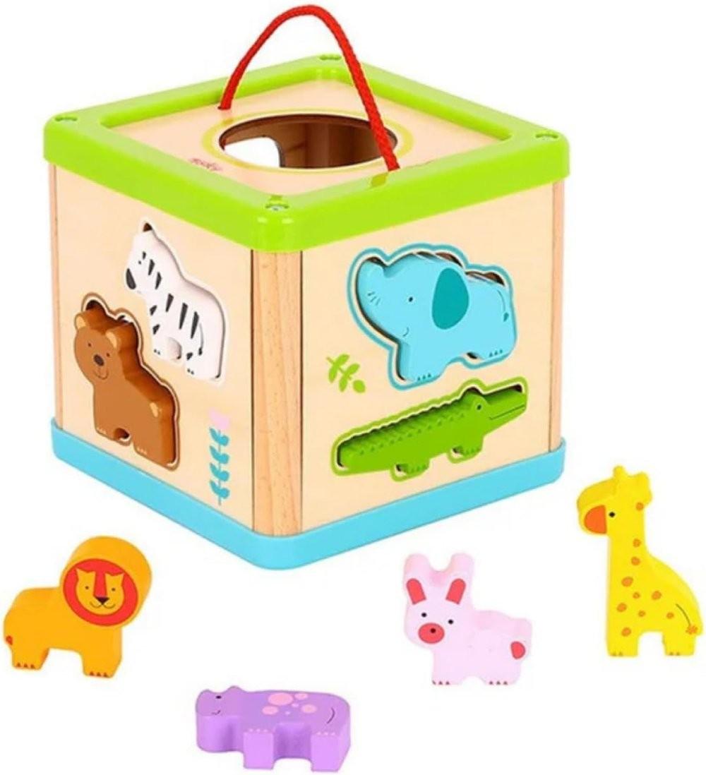 Сортер Tooky Toy TL642